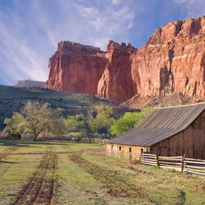 farm, Horse, canyon, pasture