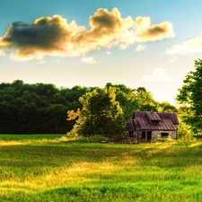 green, Home, car in the meadow