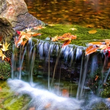 cascade, Leaf, water