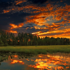 clouds, forest, lake