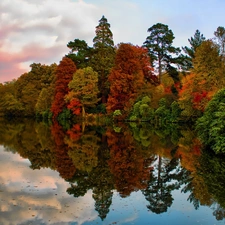 lake, viewes, clouds, trees