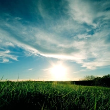 Meadow, grass, clouds, Green