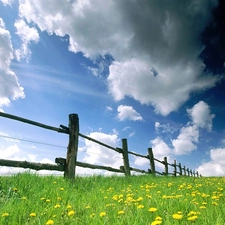 Meadow, Hurdle, clouds, Flowers