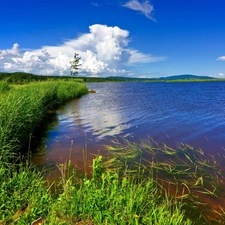 clouds, lake, Meadow