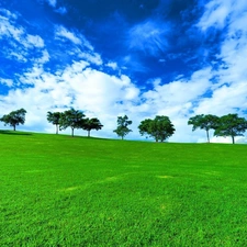 Meadow, viewes, clouds, trees