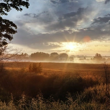 Meadow, clouds