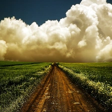 clouds, Field, Path