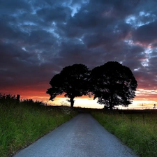 Clouds, Sky, viewes, Way, trees