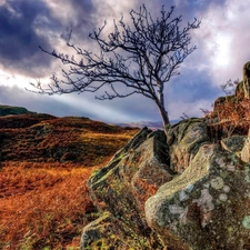 ledge, autumn, clouds, trees, rocks, Stones