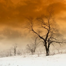 field, trees, clouds, winter, Way, viewes