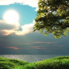 coast, Meadow, Sky, marine, Clouds