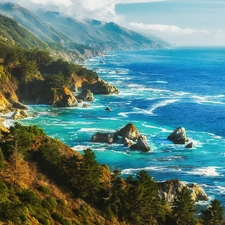 sea, Mountains, Coast, forested