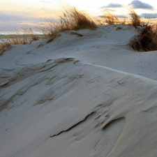 Dunes, sea, Coast