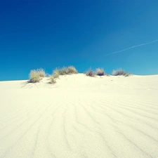 Desert, Bushes, embers, Sand