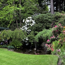 flourishing, Garden, eye, water, Bush, beatyfull