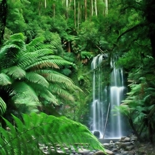 fern, waterfall, Tropical