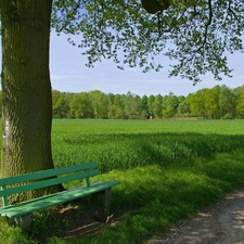 Bench, Field