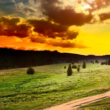 clouds, Field, Path, trees, grass, sun, west, viewes