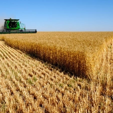 cereals, combine-harvester, Field