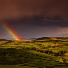 Great Rainbows, Storm, field
