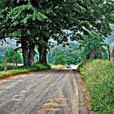 field, rural, Way