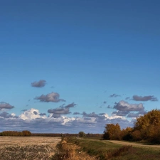 Way, viewes, Field, trees