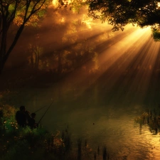 rays, forest Lake, fishing, sun