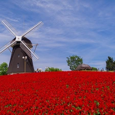 Floral, Windmill, Field