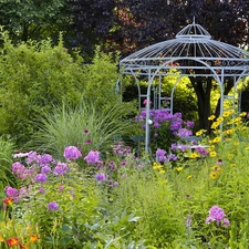 Flowers, Garden, arbour