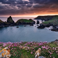 Flowers, sea, Islets