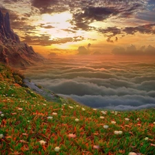 rocks, color, Flowers, clouds