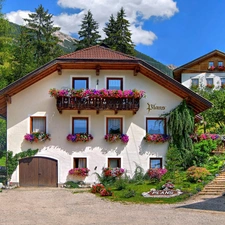 Flowers, house, Spring