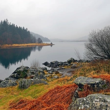 woods, lake, Fog, autumn, Mountains, Stones