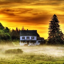 trees, west, Fog, house, viewes, sun