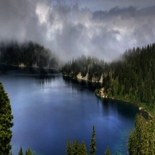 Fog, forest, lake