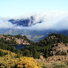 Mountains, lake, Fog, woods