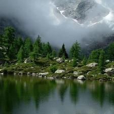 water, forest, Fog, rocks