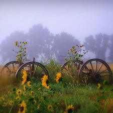 wheel, Nice sunflowers, Fog, wagon