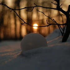 reflection, snow, forest, sun