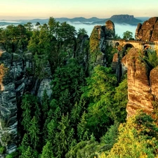 forest, Mountains, rocks