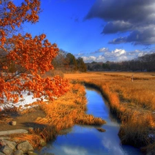 Meadow, autumn, forest, trees, grass, River