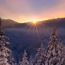 forest, winter, sun, Mountains, rays