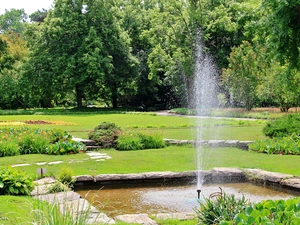 Garden, Pozna?, fountain, botanical