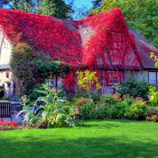 house, Garden