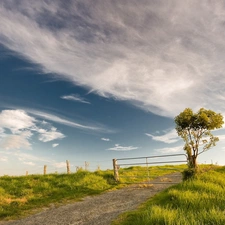 Gate, clouds, Meadow