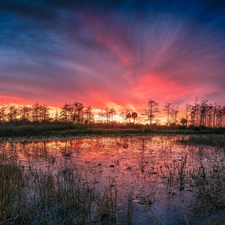 swamp, pool, grass, trees, reflection, Great Sunsets, Red, Sky, viewes