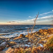 grass, sea, Stones