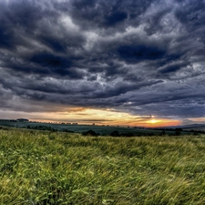 west, clouds, grass, sun