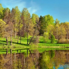 Pond - car, Park, green