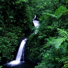 green, waterfall, jungle